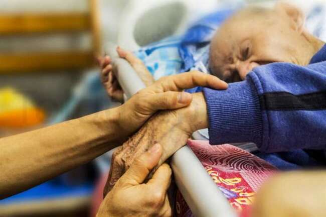 شیوانا ، خطِ پایان