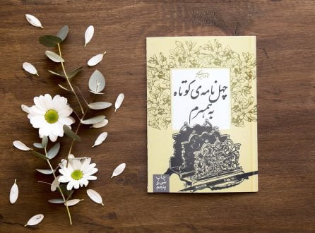 چهل نامهی کوتاه به همسرم نادر ابراهیمی