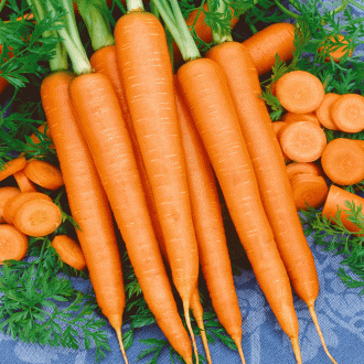 بهترین روش نگهداری طولانی مدت هویج