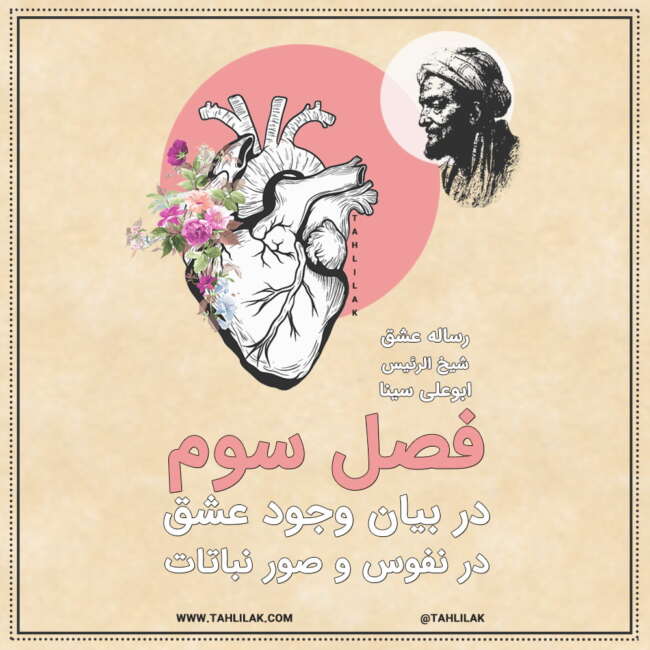 رساله عشق ابو علی سینا فصل سوم - رساله عشق ابن سینا - در بیان وجود عشق در نفوس و صور نباتات