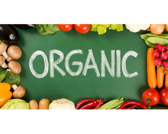 organic - ارگانیک