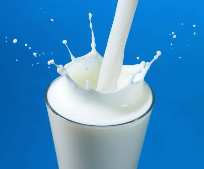 شیرهای آلوده به سم آفلاتوکسین - عوارض مصرف آفلاتوکسین