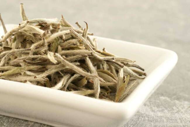 بررسی فواید و مضرات چای سبز و چای سفید