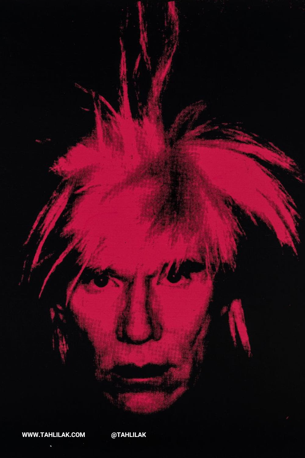 شاهزاده پاپ اندی وارهول (Andy Warhol)