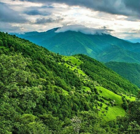 جنگل ارسباران کجاست