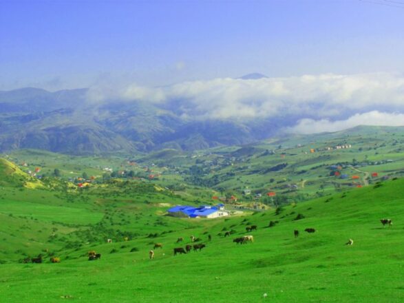 روستای دیلمان بهشت کوچک گیلان 7 دیلمان