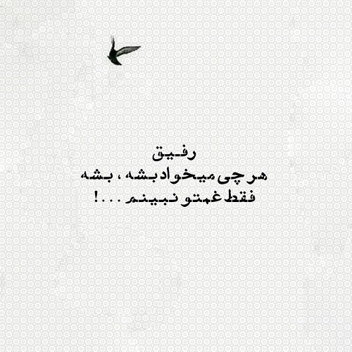 رفیق36