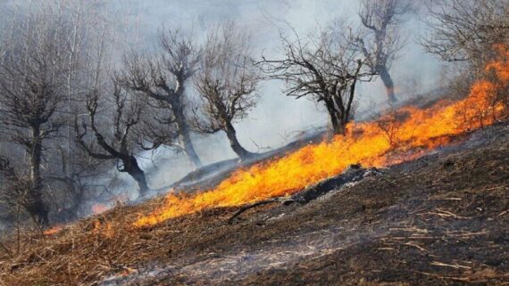 آتش‌ سوزی کوه نارک گچساران همچنان ادامه دارد