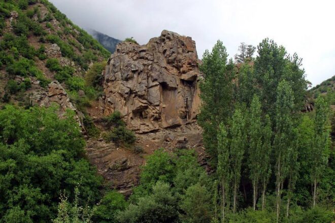 جنگل رودبارک سمنان 3 جنگل رودبارک