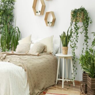 گیاه مناسب اتاق خواب