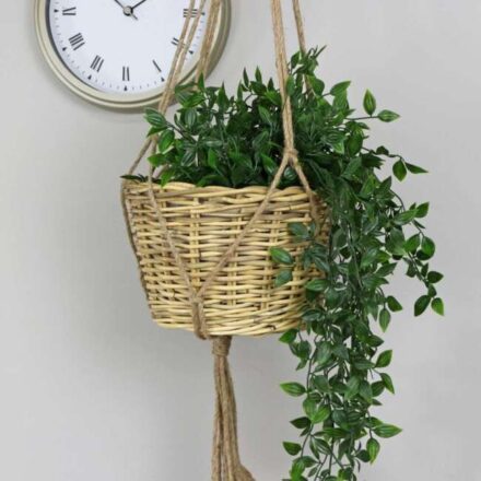 13 گیاه آویزی مناسب برای محل کار و منزل 3 گیاه آویزی