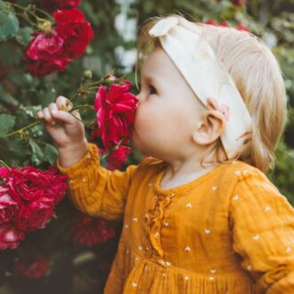 معرفی 10 گل خوشبو برای باغچه