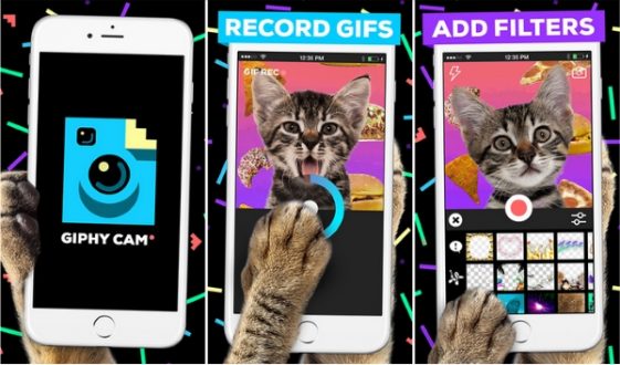 معرفی برنامه giphy cam جهت ساختن گیف با موبایل