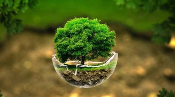 روز جهانی محیط زیست 1401
