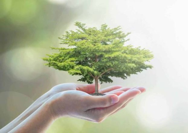 روز درختکاری 1402