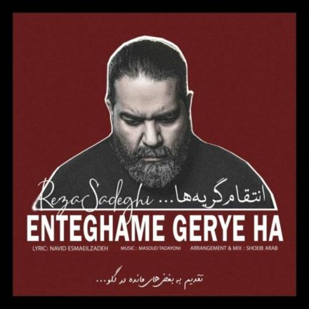 آهنگ انتقام گریه ها رضا صادقی + متن 6 آهنگ انتقام گریه ها رضا صادقی
