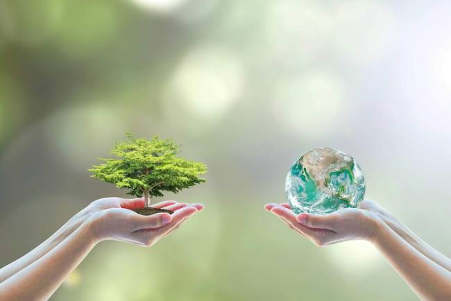 روز جهانی محیط زیست 1403