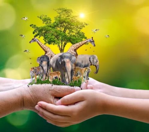 روز جهانی حیات وحش 1403