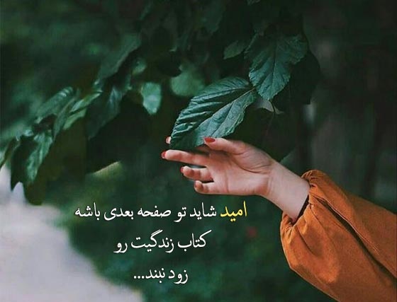 روز امید 1403 و شادباش نویسی