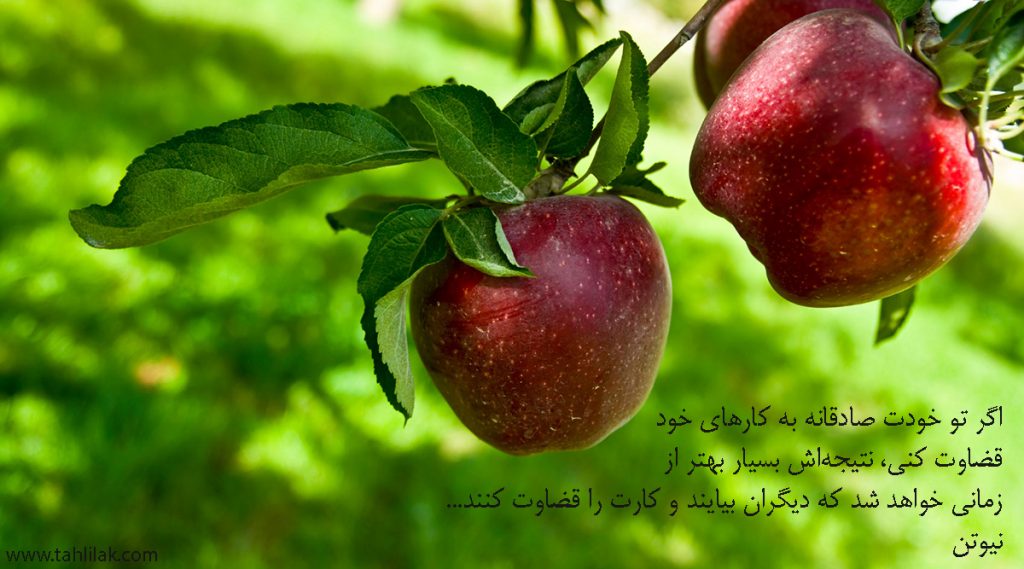 نیوتون