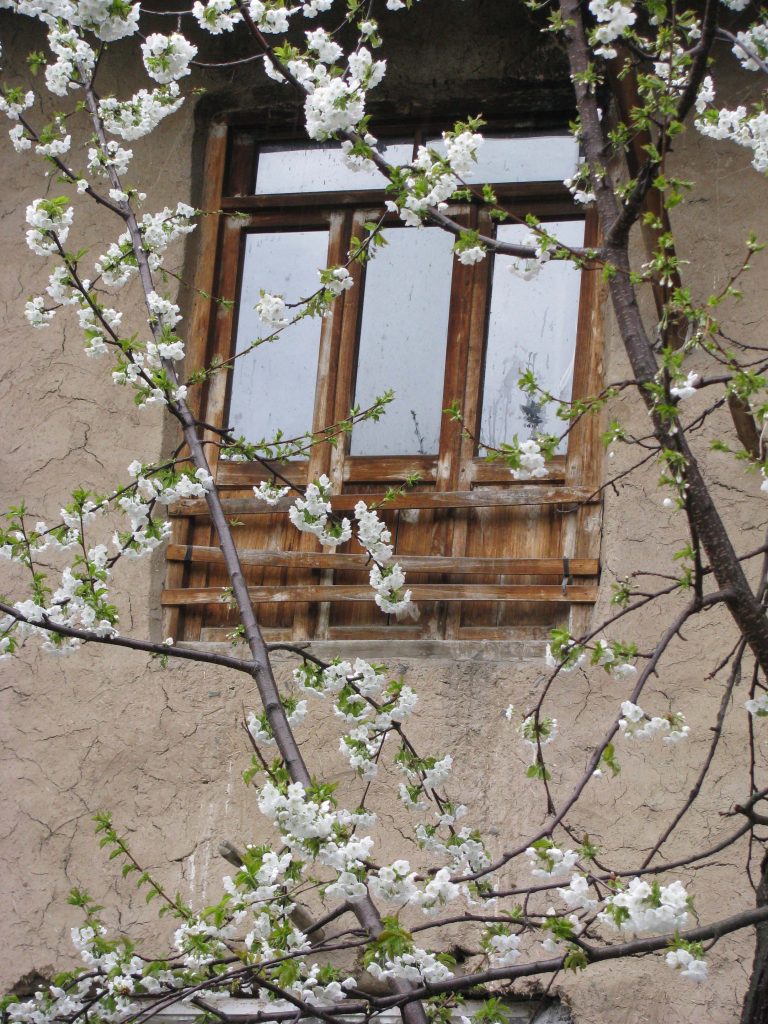 بهاریه