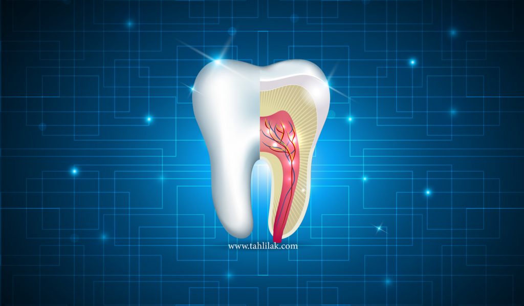 Molteno Road Dental Practice Services Root Canal Treatment