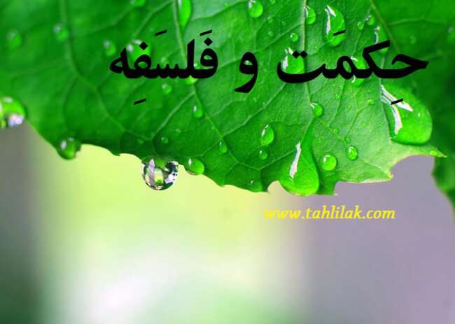 علامه حسن زاده آملی