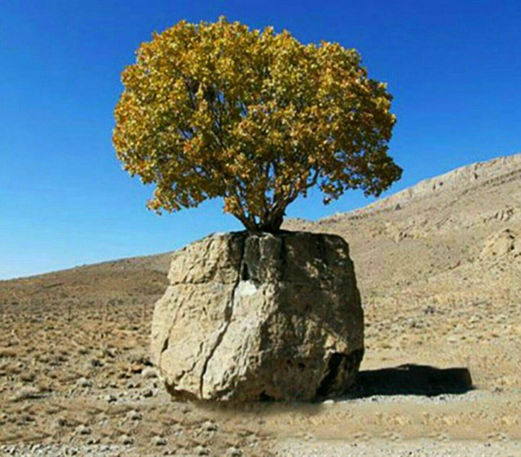 بهترین شغل و رشته برای رسیدن به کمال و رشد انسانی