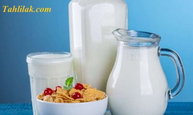 پروتئین شیر گاو