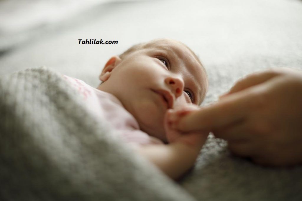 گوش نوزاد